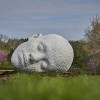 New Of the Earth exhibition debuts May 26 at The Morton Arboretum
