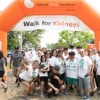 The National Kidney Foundation of Illinois Thanks You Fourteen-Hundred Strong Walked for Kidneys; Find Out How You Can Still Help