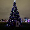 Cicero Officials Turn on Christmas Lights at Annual Christmas Tree Lighting Ceremony