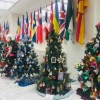 Christmas Trees on Display at Office of County Treasurer Pappas