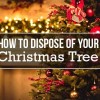 Expert Tips for Live Christmas Tree Disposal