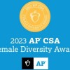 Las escuelas públicas de Chicago reciben 23 premios AP a la diversidad femenina en informática