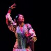 El Instituto Cervantes de Chicago Anuncia el Festival Flamenco de Chicago