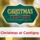 ‘Christmas at Cantigny’ Now Open