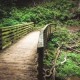 Start the New Year with a First Day Hike at an Illinois State Park