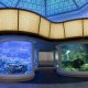 A Century in the Making: Shedd Aquarium’s Historic Rotunda Reimagined as the Wonder of Water Exhibit