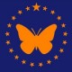 ¿Año Nuevo, Bandera Nueva? Comienza la Votación Pública para Rediseñar la Bandera Estatal