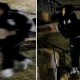 Suspect Sought in Brick Thrown at Home and Campaign Window Friday Morning