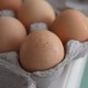 CDC Warns of Salmonella Outbreak Linked to Eggs