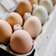 Los CDC advierten sobre un brote de Salmonella vinculado a los huevos