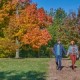 Disfrute la Belleza del Verano, Experto de Morton Arboretum Comparte Consejos Sobre el Follaje