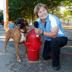  Lawndale News Chicago's Bilingual Newspaper - Local News