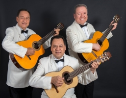 Lawndale News Chicago's Bilingual Newspaper - Local News