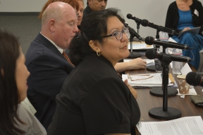 Lawndale News Chicago's Bilingual Newspaper - Negocios