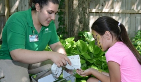 Lawndale News Chicago's Bilingual Newspaper - Local News