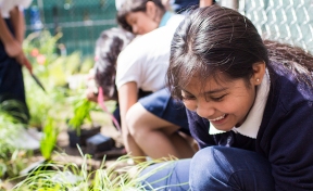 Lawndale News Chicago's Bilingual Newspaper - Local News