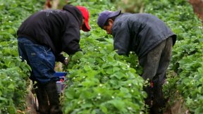 Lawndale News Chicago's Bilingual Newspaper - Negocios