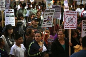 Lawndale News Chicago's Bilingual Newspaper - Negocios