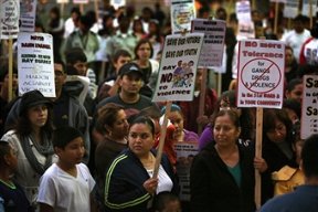 Lawndale News Chicago's Bilingual Newspaper - Business