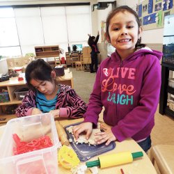 Lawndale News Chicago's Bilingual Newspaper - Education