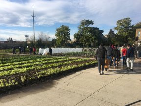 Lawndale News Chicago's Bilingual Newspaper - Educacion