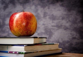 Lawndale News Chicago's Bilingual Newspaper - Education