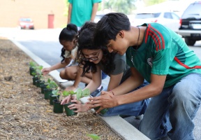 Lawndale News Chicago's Bilingual Newspaper - Education