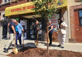 Lawndale News Chicago's Bilingual Newspaper - Health