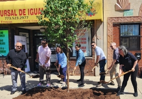 Lawndale News Chicago's Bilingual Newspaper - Health