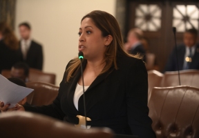 Lawndale News Chicago's Bilingual Newspaper - Business