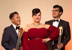 Lawndale News Chicago's Bilingual Newspaper - Local News