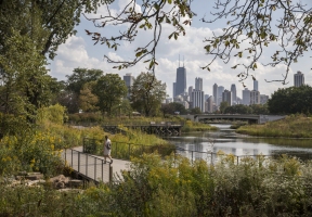 Lawndale News Chicago's Bilingual Newspaper - Local News