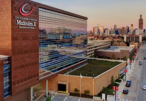 Lawndale News Chicago's Bilingual Newspaper - Education