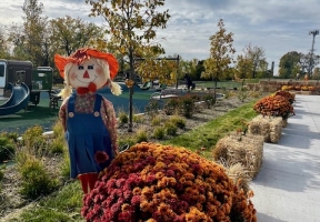 Lawndale News Chicago's Bilingual Newspaper - Local News