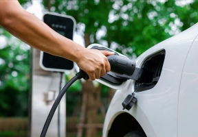 Lawndale News Chicago's Bilingual Newspaper - Business