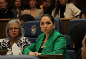 Lawndale News Chicago's Bilingual Newspaper - Business