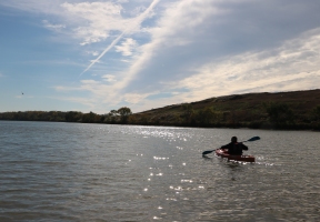 Lawndale News Chicago's Bilingual Newspaper - Local News