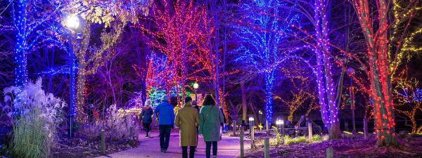 Lawndale News Chicago's Bilingual Newspaper - Local News