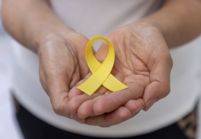 Lawndale News Chicago's Bilingual Newspaper - Health