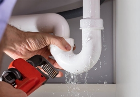 Lawndale News Chicago's Bilingual Newspaper - Local News