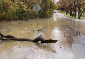 Lawndale News Chicago's Bilingual Newspaper - Local News