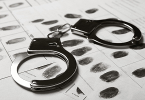 Lawndale News Chicago's Bilingual Newspaper - Local News