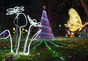 Lawndale News Chicago's Bilingual Newspaper - Local News