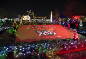 Lawndale News Chicago's Bilingual Newspaper - Local News