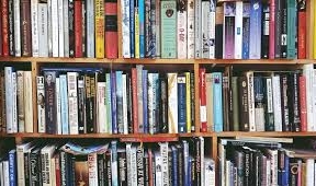 Lawndale News Chicago's Bilingual Newspaper - Commentary