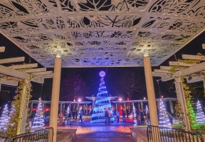 Lawndale News Chicago's Bilingual Newspaper - Local News