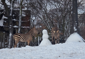 Lawndale News Chicago's Bilingual Newspaper - Local News