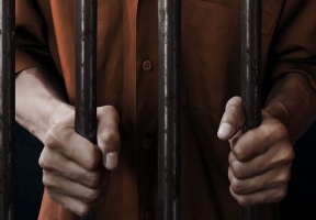 Lawndale News Chicago's Bilingual Newspaper - Local News