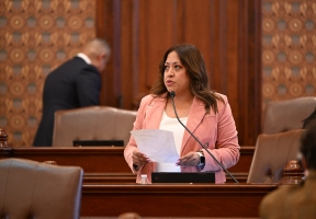 Lawndale News Chicago's Bilingual Newspaper - Business