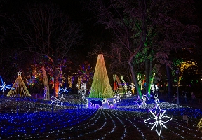 Lawndale News Chicago's Bilingual Newspaper - Local News